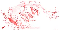RADIATEUR   VASE D'EXPANSION pour Honda REBEL 1100 2024