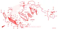 RADIATEUR   VASE D'EXPANSION pour Honda REBEL 1100 2024