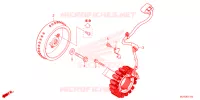 ALTERNATEUR pour Honda NX 400 2024