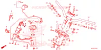 GUIDON   TE DE FOURCHE pour Honda NX 400 2024