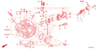 CULASSE pour Honda CRF 125 F 2023