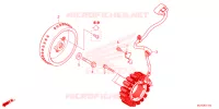 ALTERNATEUR pour Honda NX 500 2024