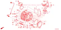 CULASSE pour Honda C 125 2023
