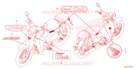 AUTOCOLLANTS pour Honda C 125 2023