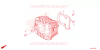 CYLINDRE pour Honda C 125 ABS 2024