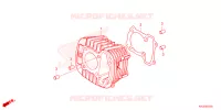 CYLINDRE pour Honda SUPER CUB 125 ABS 2024