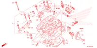 CULASSE pour Honda CRF 300 L 2024