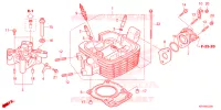 CULASSE pour Honda XR 150 L 2024