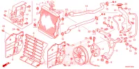 RADIATEUR pour Honda FOURTRAX 520 RUBICON DCT DELUXE 3CM 2024
