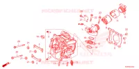 CULASSE pour Honda SH 350 SMART TOP BOX 2024