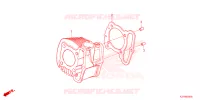 CYLINDRE pour Honda SCOOPY 110 CLUB 12 2024