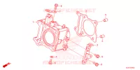 CYLINDRE pour Honda CLICK 160 ABS SP 2024