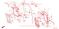 RADIATEUR pour Honda CRF 450 R 2025