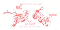 AUTOCOLLANTS pour Honda NAVI 110 2024