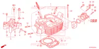 CULASSE pour Honda XR 150 2025