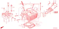 CULASSE pour Honda XR 150 L 2025