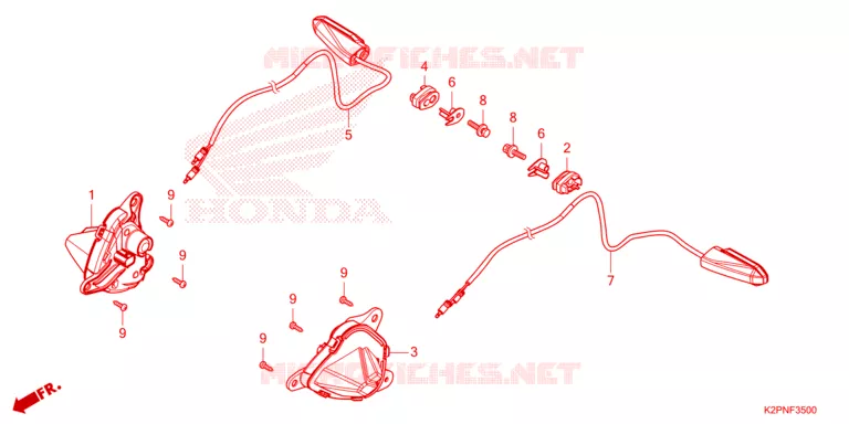 CLIGNOTANT Honda MOTO 150 WINNER 2024  FS150FR