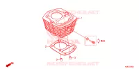 CYLINDRE pour Honda CRF 125 F 2024