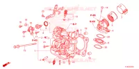 CULASSE pour Honda FORZA 250 ABS 2025