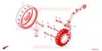 ALTERNATEUR pour Honda CB 500 X 2019