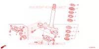 AMORTISSEUR DE DIRECTION pour Honda CG 160 START 2024