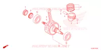 VILEBREQUIN pour Honda CG 160 START 2024