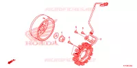 ALTERNATEUR pour Honda CRF 110 2025
