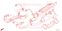 SILENCIEUX D'ECHAPPEMENT pour Honda FOURTRAX 520 FOREMAN RUBICON 4X4 AT DCT EPS 2025