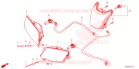 PHARE pour Honda FOURTRAX 520 FOREMAN RUBICON 4X4 AT DCT EPS 4NZ 2024