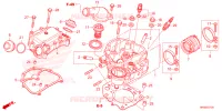 CULASSE pour Honda FOURTRAX 520 FOREMAN RUBICON 4X4 AT DCT EPS ED 2024