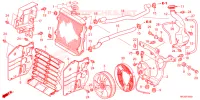 RADIATEUR pour Honda FOURTRAX 420 RANCHER 4X4 Manual Shift 2024
