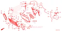 RADIATEUR   VASE D'EXPANSION pour Honda REBEL 1100 TOURING 2025