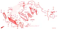 RADIATEUR   VASE D'EXPANSION pour Honda REBEL 1100 DCT 2025