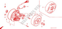 ALTERNATEUR pour Honda CUB 50 STANDARD RED 1993