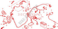 FAISCEAU DES FILS   BOBINE D'ALLUMAGE   BATTERIE pour Honda SFX 50 2000
