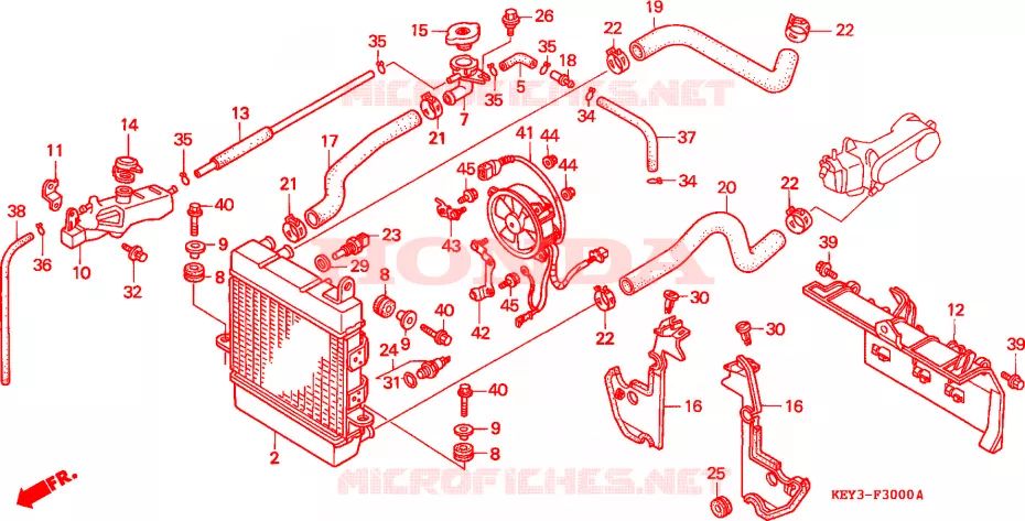 RADIATEUR Honda SCOOTER 150 PANTHEON 1998  FES150W