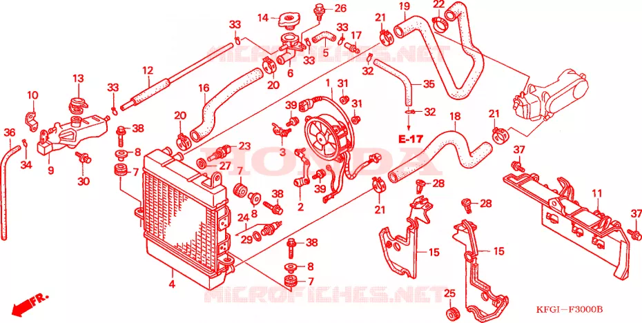 RADIATEUR Honda SCOOTER 250 FORSIGHT 2002  FES2502