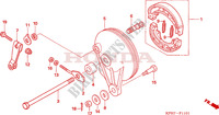 FLASQUE   MACHOIRES DE FREIN ARRIERE (ANF1256/7/T6) pour Honda INNOVA 125 2009