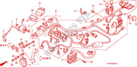 FAISCEAU DES FILS  pour Honda CBR 125 TRICOLORE 2010