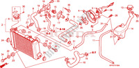 RADIATEUR  pour Honda CBR 125 2008