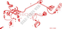 FAISCEAU DES FILS pour Honda CRF 250 X 2011