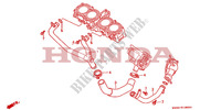 DURITE DE REFROIDISSEMENT pour Honda CBR 1000 F 1991