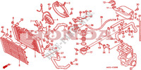 RADIATEUR pour Honda CB 500 50HP 1994