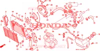 RADIATEUR pour Honda NTV 650 1995