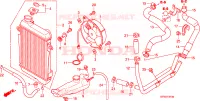 RADIATEUR pour Honda SH 300 SPC 2008