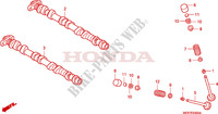 ARBRE A CAMES   SOUPAPE pour Honda CBF 600 NAKED BI TONS 2007