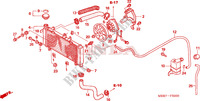 RADIATEUR (CBF600S6/SA6) pour Honda CBF 600 FAIRING 25KW 2005