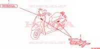 AUTOCOLLANTS pour Honda 50 TODAY 2007