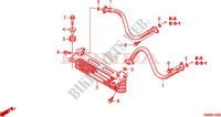 RADIATEUR D'HUILE pour Honda TRX 250 FOURTRAX RECON Electric Shift 2010