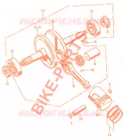 E08 pour Honda ST 70 DAX 1969